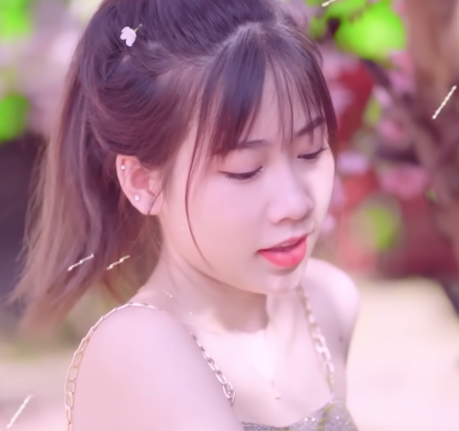 lĩnh vực hoạt động